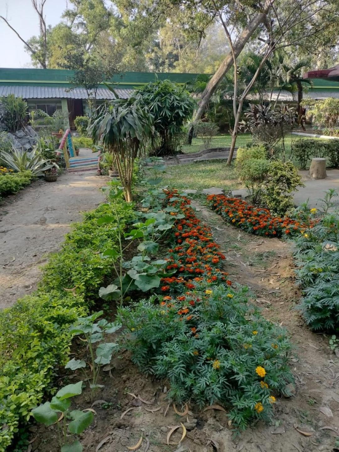 Lucky Beach Resorts , Balasore Chandipur Exteriör bild