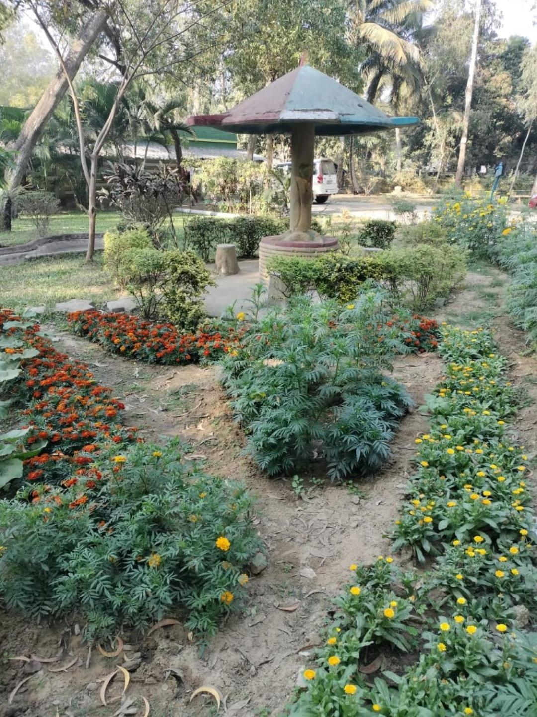 Lucky Beach Resorts , Balasore Chandipur Exteriör bild