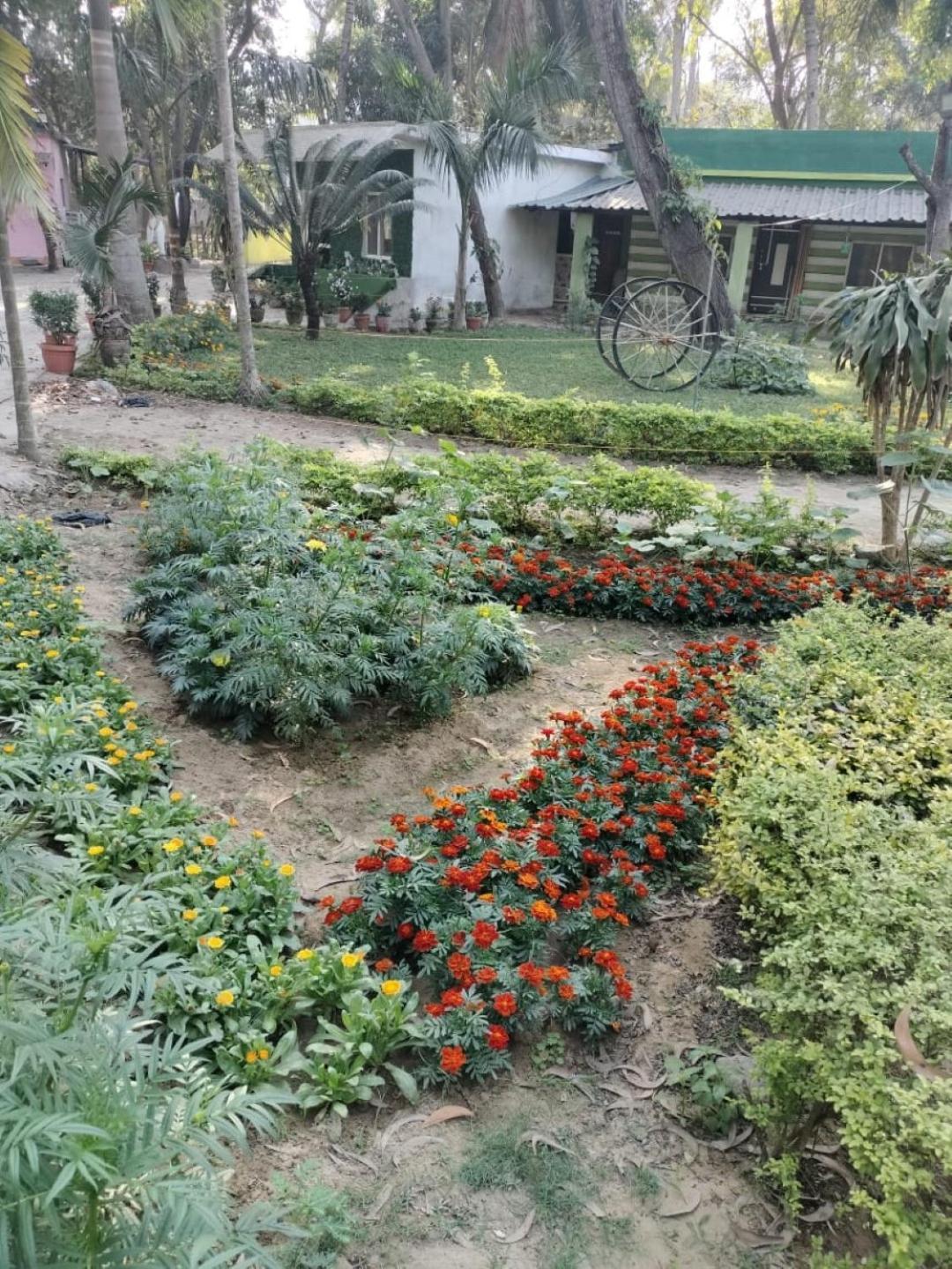 Lucky Beach Resorts , Balasore Chandipur Exteriör bild