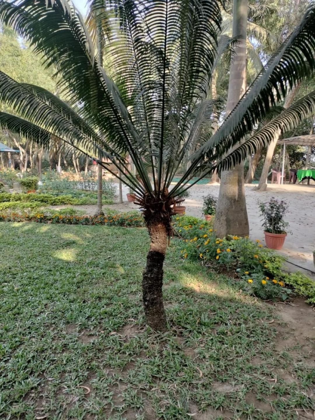 Lucky Beach Resorts , Balasore Chandipur Exteriör bild